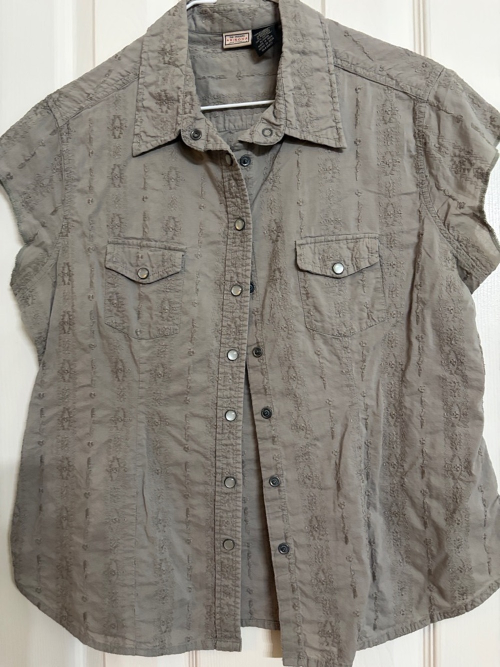 Arizona Jean Company Embroidered Snap Front Cotton Shirt - sage.